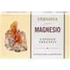ERBAMEA SRL Magnesio 24 Capsule 1200 Mg