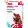Beaphar Dog Fiprotec Spot-On Taglia Media 10-20 Kg - Confezione da 3 pipette