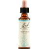 SCHWABE PHARMA ITALIA VERVAIN BACH ORIG 20 ML