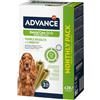 ADVANCE Snacks - Dental Care Stick per Cani di Razza Media e Grande - 720gr