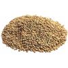 Molino Zappala' 25 kg Lenticchie Piccole SICILIANE