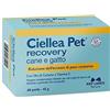 N.B.F. Lanes CIELLEA PET RECOVERY BLISTER 60 PERLE