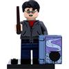 LEGO 71028 Harry Potter - Minifigure in confezione regalo #1 Harry Potter con libro di abbeveratoio magico