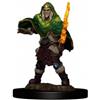 WIZKIDS Elf Fighter Male - D&D Icons of the Realms Premium Figures