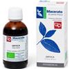 Fitomedical ORTICA TINTURA MADRE 50 ML BIO