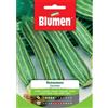 Blumen zucchino romanesco