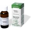Sarandrea Marco &c. PILOSELLA TINTURA MADRE GOCCE 50ML