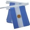 AZ FLAG Ghirlanda 6 Metri 20 Bandiere Argentina 21x15cm, Bandiera Argentina 15 x 21 cm - Festone Bandierine