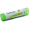 Boiron Cantharis 5ch Granuli 4g