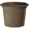 Erba Vaso Leader cm 25 tortora