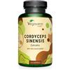 Vegavero Cordyceps Sinensis | 19.500 mg (Estratto CS-4 10:1) | 40% di Polisaccaridi Bioattivi | Alto Dosaggio | Testato in Laboratorio | No OGM e senza Additivi | 120 capsule | Vegan | Vegavero®