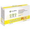 KURA SRL MANNOSPEA 14BUST