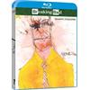 Sony Pictures Breaking Bad - Stagione 4 (3 Blu-Ray Disc)