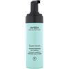 AVEDA Foam Reset Rinseless Hydrating Hair Cleanser 150ml Shampoo Delicato,Shampoo Secco