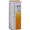 DR.RECKEWEG R37 - Rimedio omeopatico per i disturbi intestinali 22 ml gocce