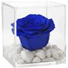Premium-rose.com PREMIUM ROSE - Cubo Rosa Stabilizzata Blu 8 cm con Marmo di Carrara - Rosa Eterna Stabilizzata Made in Italy - Idea per Bomboniere, Lauree e Battesimi - Blu A 1081