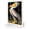 John James Audubon SW12760A - Stampa su Legno, 40 x 59 x 1,2 cm, Multicolore