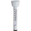 Intex Termometro galleggiante Intex