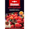 Blumen peperone cancun