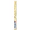 Prym - Prym Omnigrid Universal (3 x 30 cm) Righello - 1 unità
