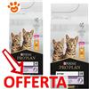 Purina Cat Pro Plan Original Kitten Pollo - Offerta [PREZZO A CONFEZIONE] Quantità Minima 2, Sacco Da 10 Kg