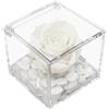 Premium-rose.com PREMIUM ROSE - Cubo Rosa Stabilizzata Bianca 6 cm con Marmo di Carrara - Rosa Eterna Stabilizzata Made in Italy - Idea per Matrimoni, Battesimi e Comunioni - Bianco 1068