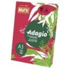 INTERNATIONAL PAPER Carta colorata A3 Sylvamo Rey Adagio 160 g/m² rosso intenso 22 - Risma da 250 fogli - ADAGI160X503