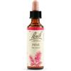 Schwabe Pharma Italia Bach Pine Essenza floreale di pino silvestre 20 ml