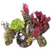 Nobby Pietra di Corallo con Piante Ornamentali per Acquario, 17 x 12,5 x 12 cm