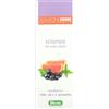 DERBE SRL DERBE SHAMPOO ANTI UNTUOSITA