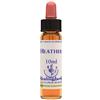 NATUR Srl Heather Essenza 10 Ml 1 Pezzo