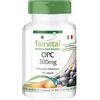 fairvital Estratto di semi d'uva OPC, 900 mg per dose giornaliera, 90 capsule, facili da deglutire, ALTO DOSAGGIO, VEGANO, proantocianidine oligomeriche