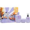Alfaparf semi di lino smooth holiday kit shampoo smoothing 250 ml-mask 200 ml e cream 125 ml - trattamento anticrespo per capelli da sottili a medi