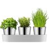 WMF Vaso per erbe gourmet con sistema di irrigazione in 3 parti, giardino delle erbe per la cucina, 36x 12,5x 12,5 cm, per erbe aromatiche fresche, bianco