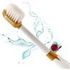 Crystal Miswak Spazzolino ionico Crystal Miswak con polvere di legno Siwak. Per la pulizia dei denti con e senza dentifricio.
