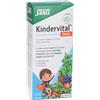 SALUS HAUS Gmbh & Co KG SALUS Floradix-Kindervital Fruity Formula, 250 ml, Integratore per Bambini con Calcio e Vitamine, Supporto Immunitario e Metabolismo Energetico