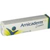 Aurora Biofarma ARNICADERM CREMA 50 ML