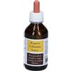Punto Salute e Benessere ARGENTO COLLOIDALE IONICO 40PPM CERTIFICATO SPRAY CON CONTAGOCCE 100 ML