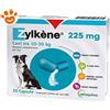 Vetoquinol Dog e Cat Zylkene 225 mg Compresse 10 - 30 Kg - Confezione da 20 Compresse