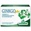Specchiasol GINKGO PLUS 30 CAPSULE