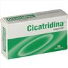 Farma-Derma Farma Derma Cicatridina Supposte 10 Pezzi