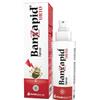 Shedir Pharma Unipersonale Banzapid Spray Trattamento 100 Ml