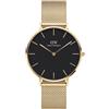 Daniel Wellington Orologio Daniel Wellington Donna Petite Evergold DW00100345