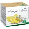 Specchiasol INFUSO TISANA ZENZERO + LIMONE 20 FILTRI