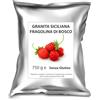 Toro 750 g Preparato per Granita Siciliana alla Fragolina di Bosco Toro