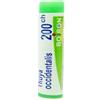 Boiron Thuya Occidentalis Granuli Omeopatici Monodose 200Ch, 1g