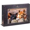 Ulmer Puzzleschmiede - Puzzle Alpaca - Motivo puzzle dal Sud America con alpaca che vivono liberi nelle Ande