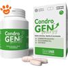 Innovet Dog Condrogen Energy - Confezione da 60 Compresse