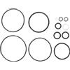 Fox shox Kit supplementare per DrCV