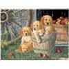Cobble Hill Puppy Pail - Cobble Hill Puzzle 400 pezzi
